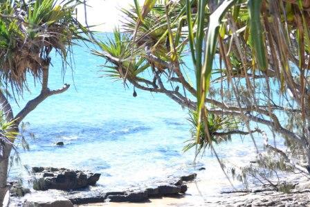 Noosa National Park