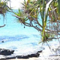 Noosa National Park