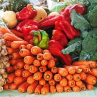 Noosa Farmers Market